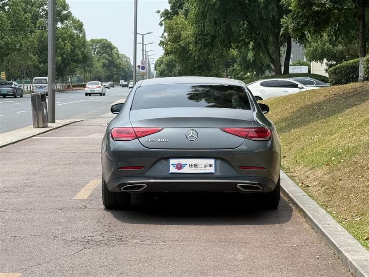 奔馳 奔馳CLS級  2018款 CLS 300 豪華型圖片
