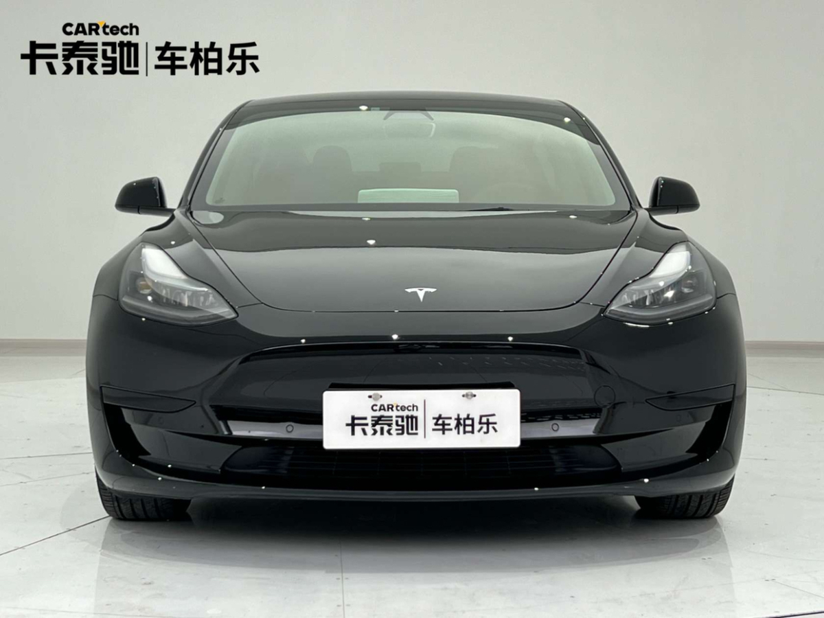 特斯拉 Model 3  2019款 标准续航后驱升级版图片