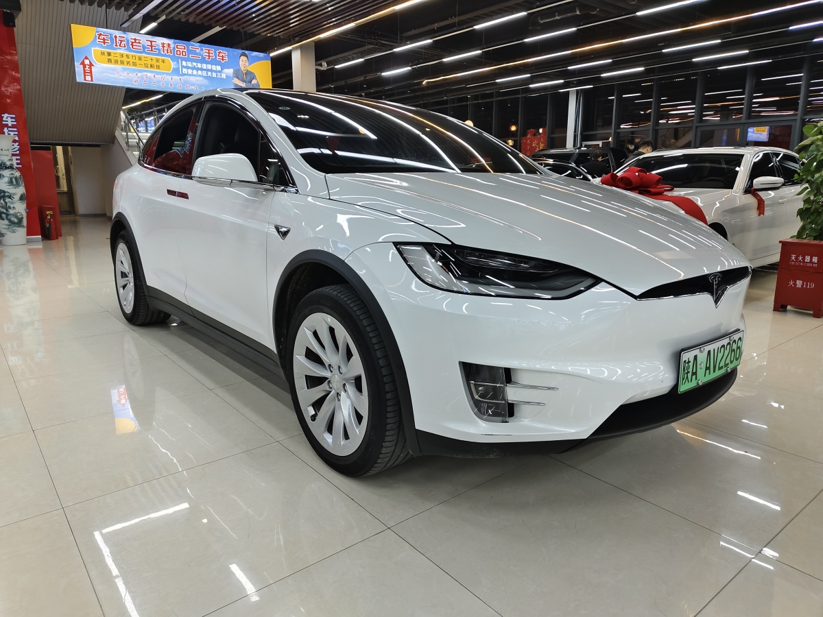 特斯拉 Model X  2019款 長續(xù)航版圖片