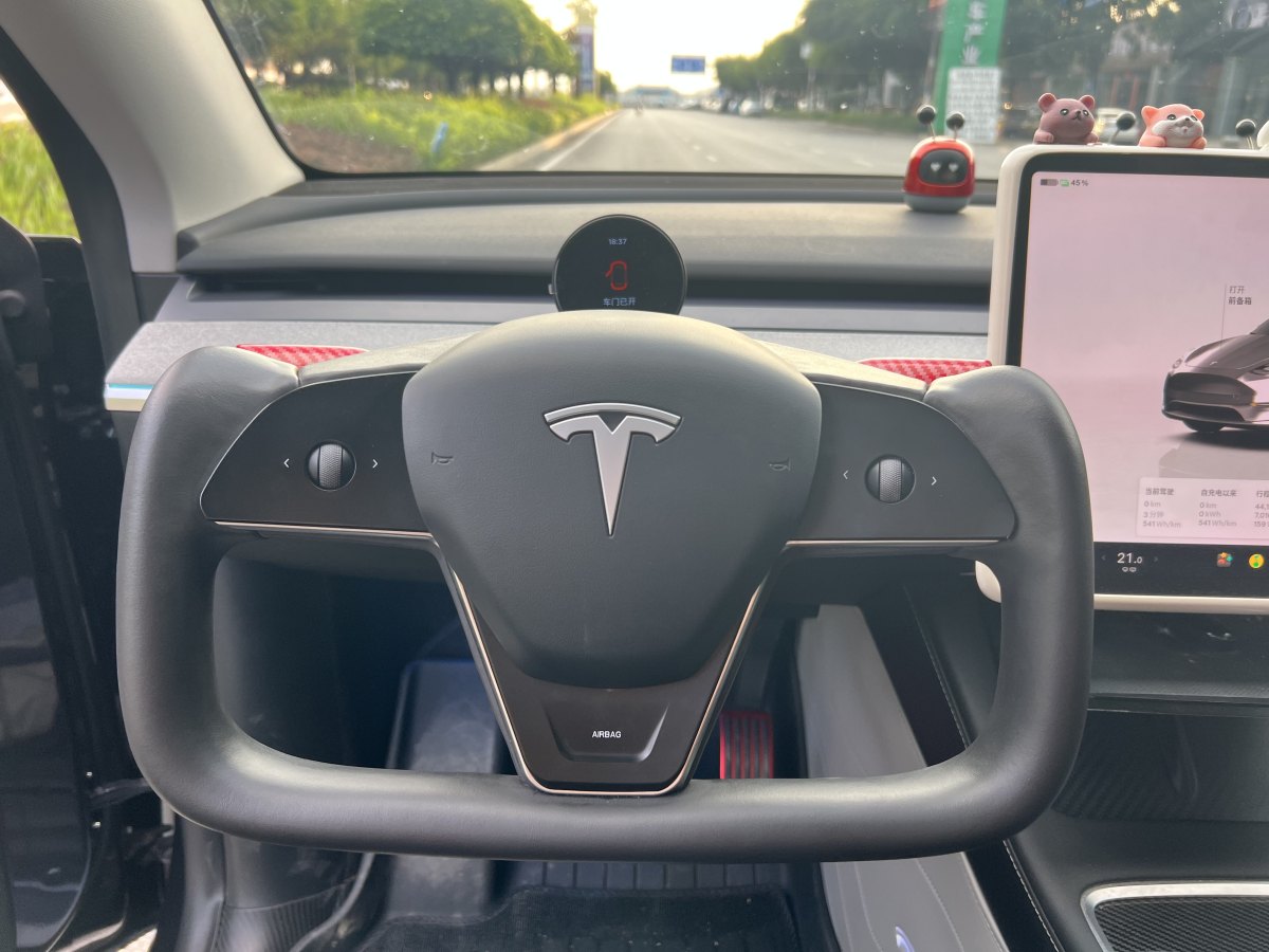 特斯拉 Model Y  2024款 后輪驅(qū)動(dòng)版圖片
