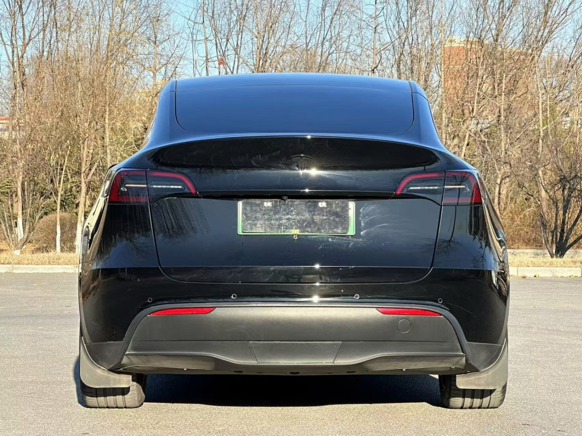 特斯拉 Model Y  2022款 后驅(qū)版圖片