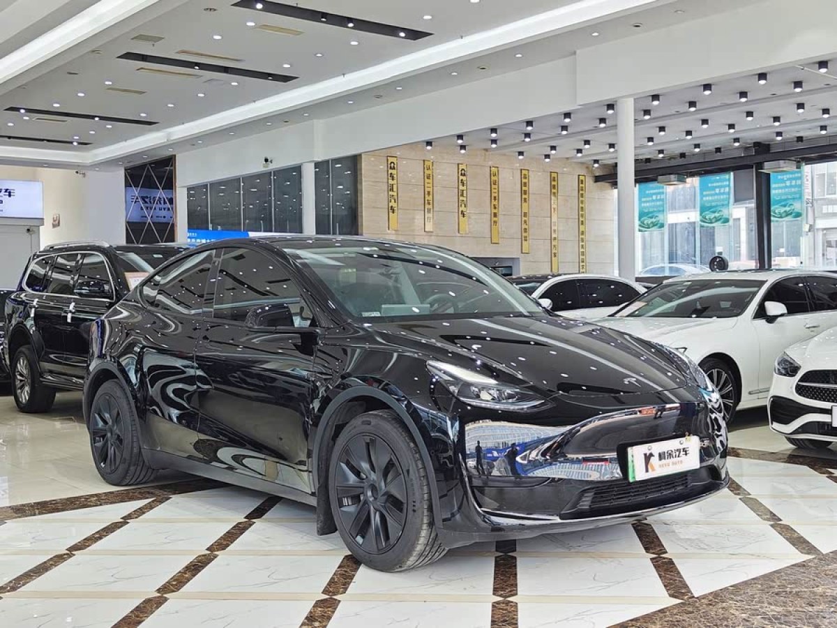 特斯拉 Model Y  2023款 長(zhǎng)續(xù)航全輪驅(qū)動(dòng)版圖片