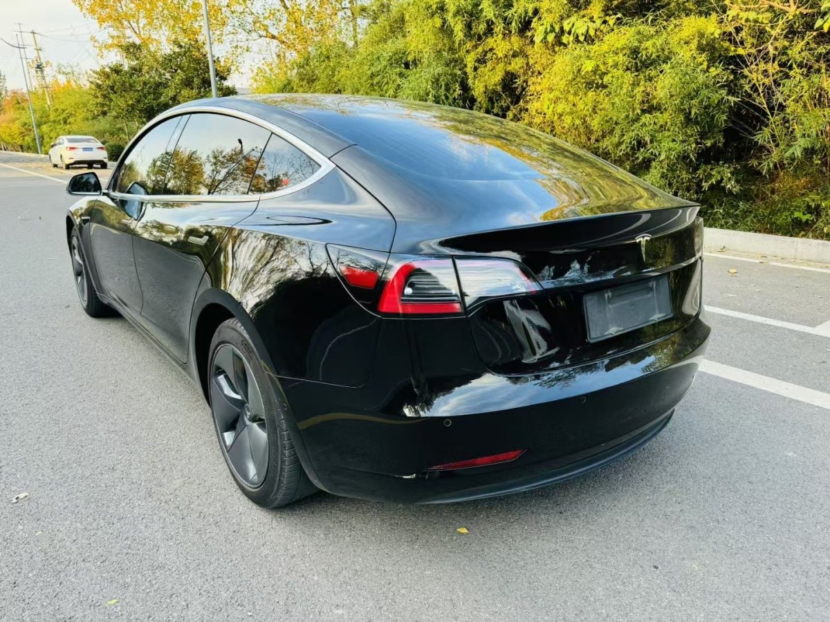 特斯拉 Model 3  2019款 標(biāo)準(zhǔn)續(xù)航后驅(qū)升級(jí)版圖片