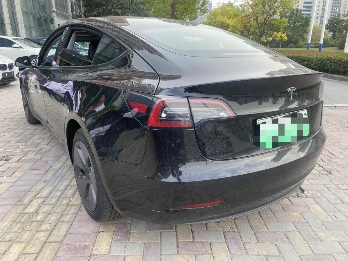 特斯拉 Model 3  2019款 標準續(xù)航后驅(qū)升級版圖片