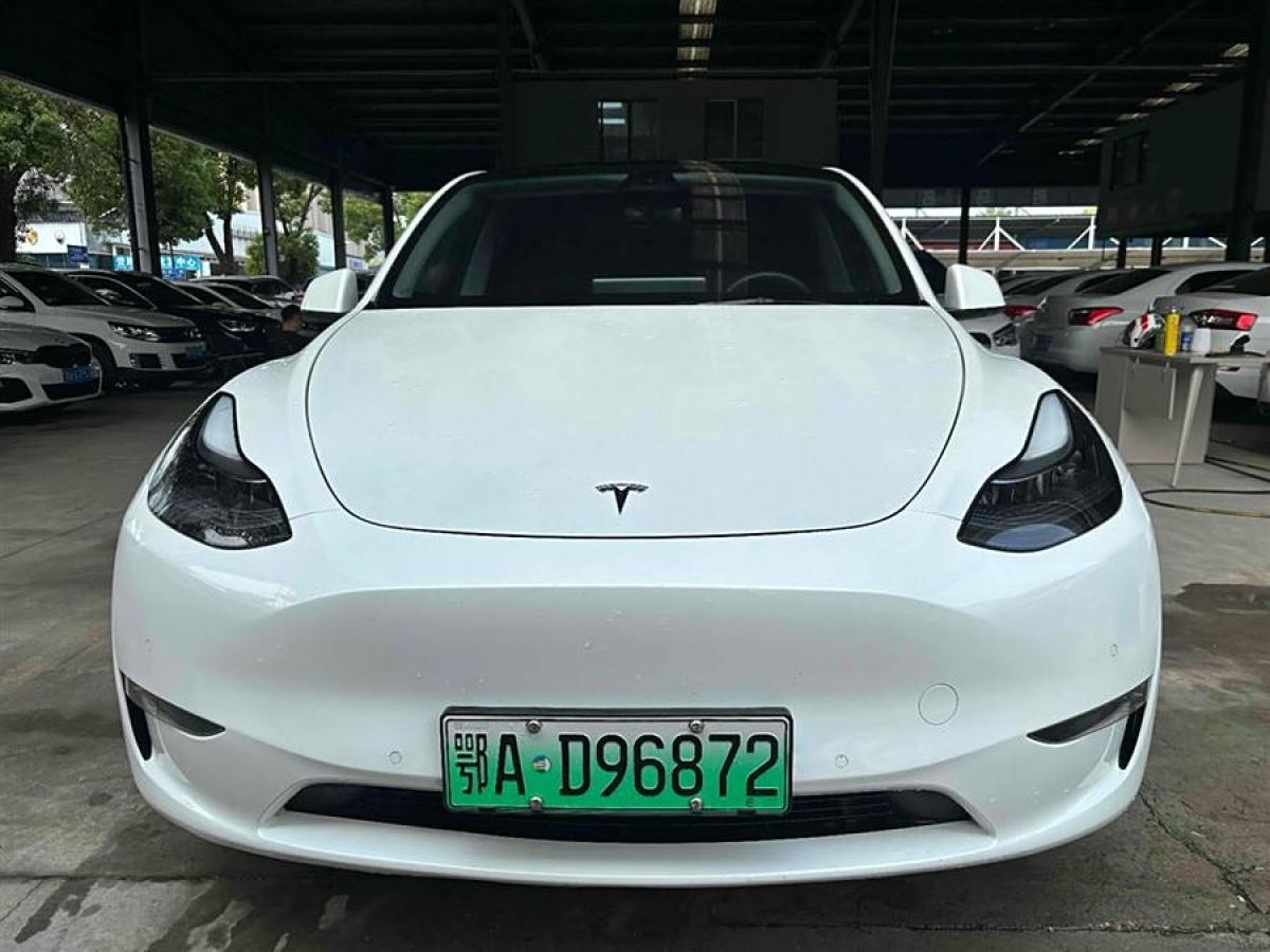 特斯拉 Model 3  2021款 長(zhǎng)續(xù)航全輪驅(qū)動(dòng)版 3D7圖片