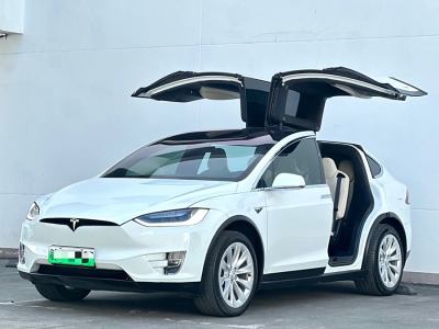 2019年11月 特斯拉 Model X Model X 100D 長(zhǎng)續(xù)航版圖片