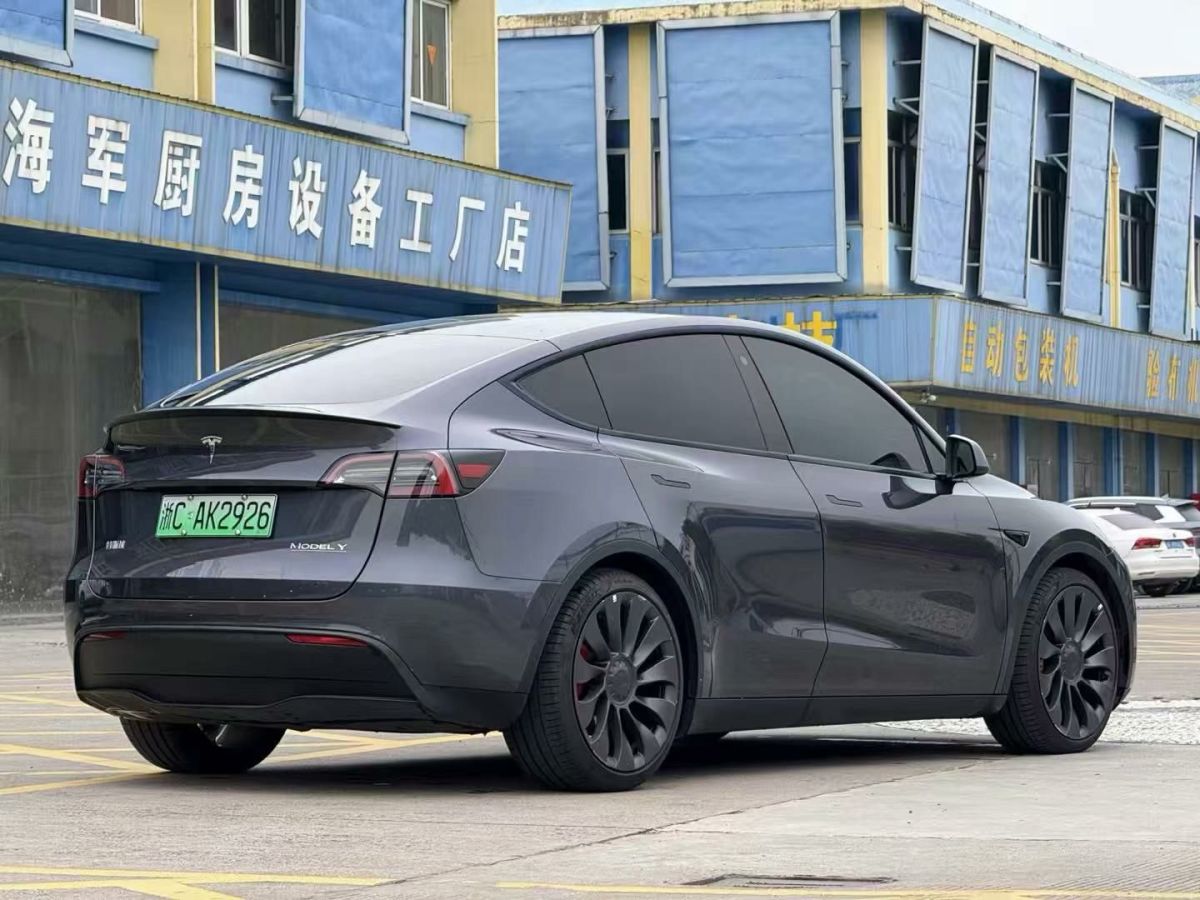 特斯拉 Model Y  2024款 Performance高性能版圖片