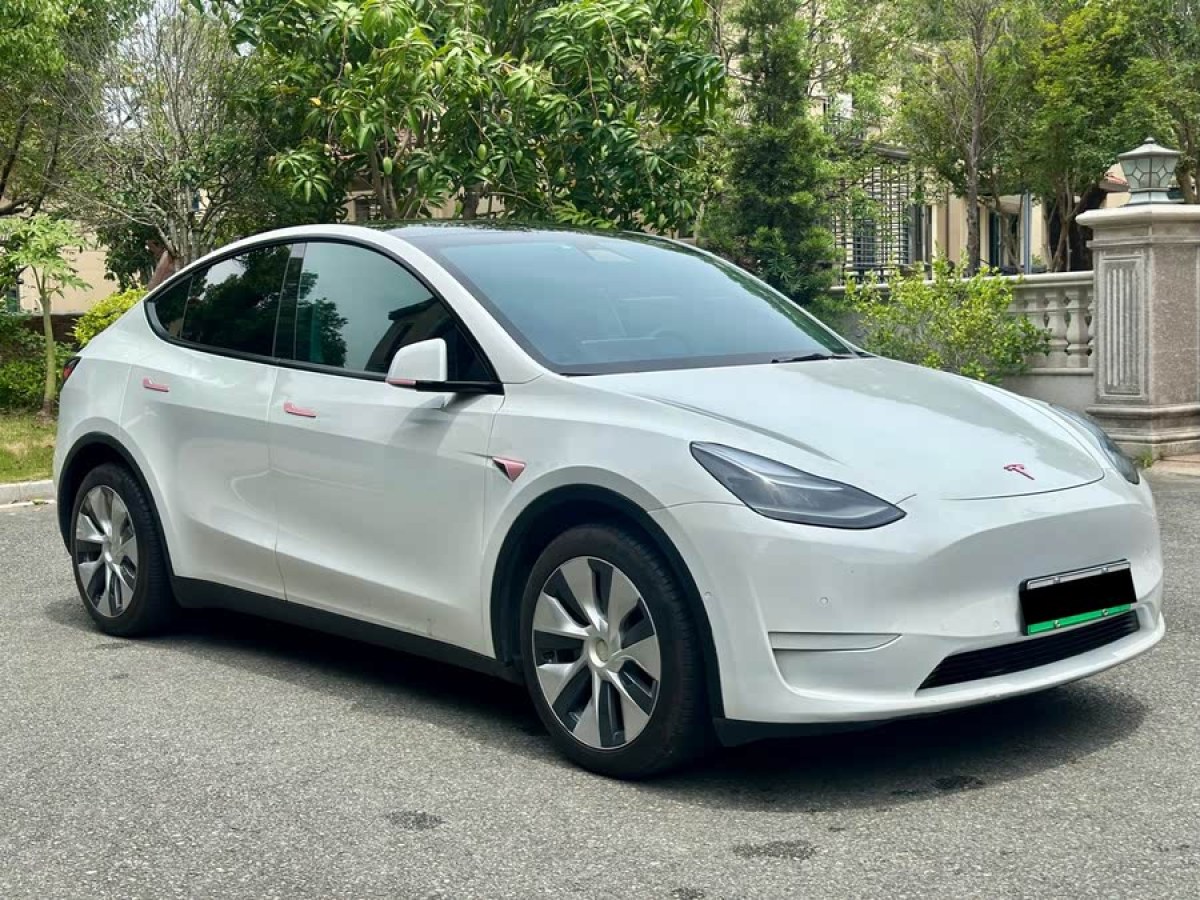 特斯拉 Model Y  2021款 改款 長(zhǎng)續(xù)航全輪驅(qū)動(dòng)版圖片