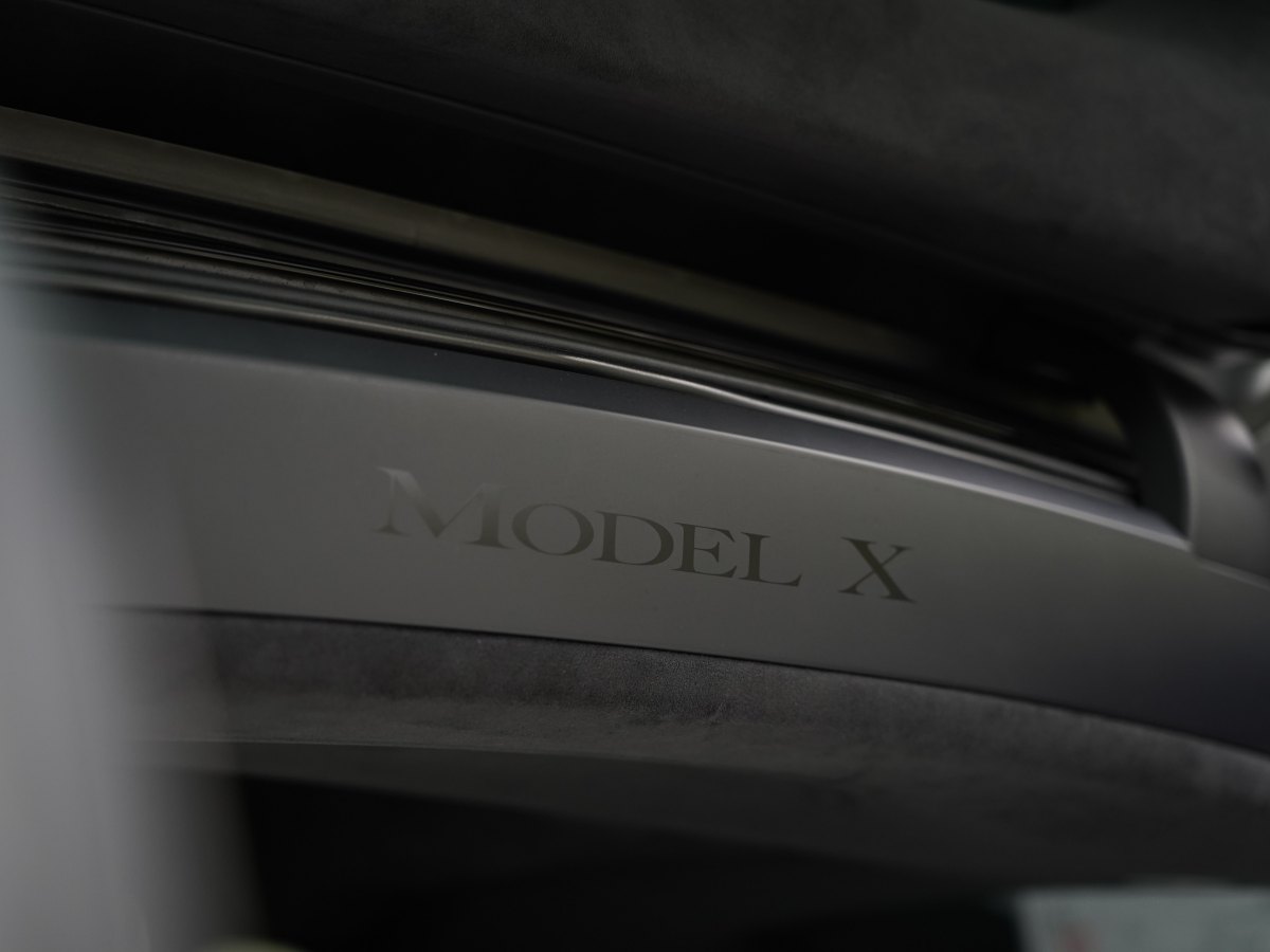 特斯拉 Model X  2017款 Model X 100D 長續(xù)航版圖片