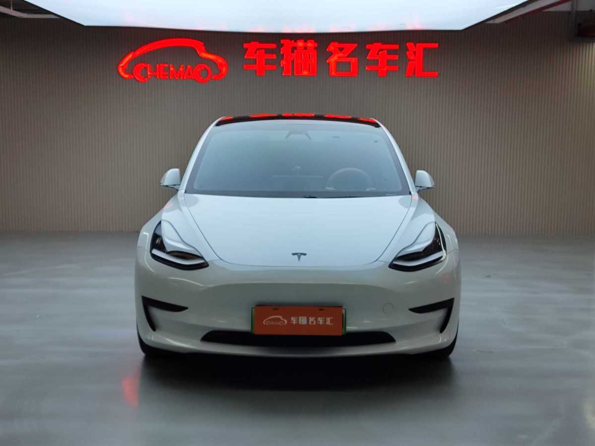 特斯拉 Model Y  2020款 改款 標(biāo)準(zhǔn)續(xù)航后驅(qū)升級版圖片