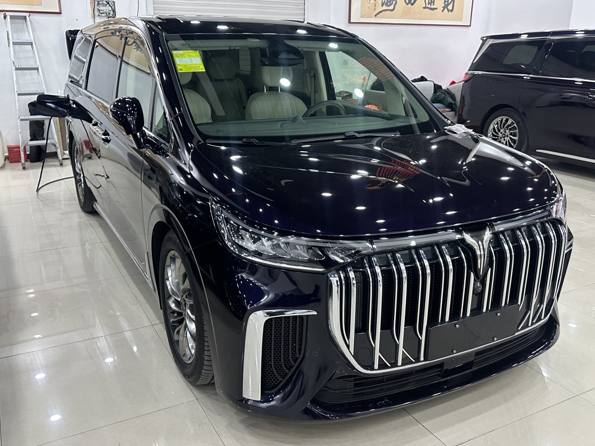 嵐圖 夢(mèng)想家  2024款 PHEV 超長(zhǎng)續(xù)航旗艦版圖片