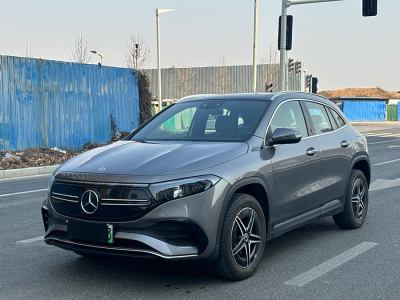 2022年1月 奔馳 奔馳EQA EQA 300 4MATIC 首發(fā)特別版圖片