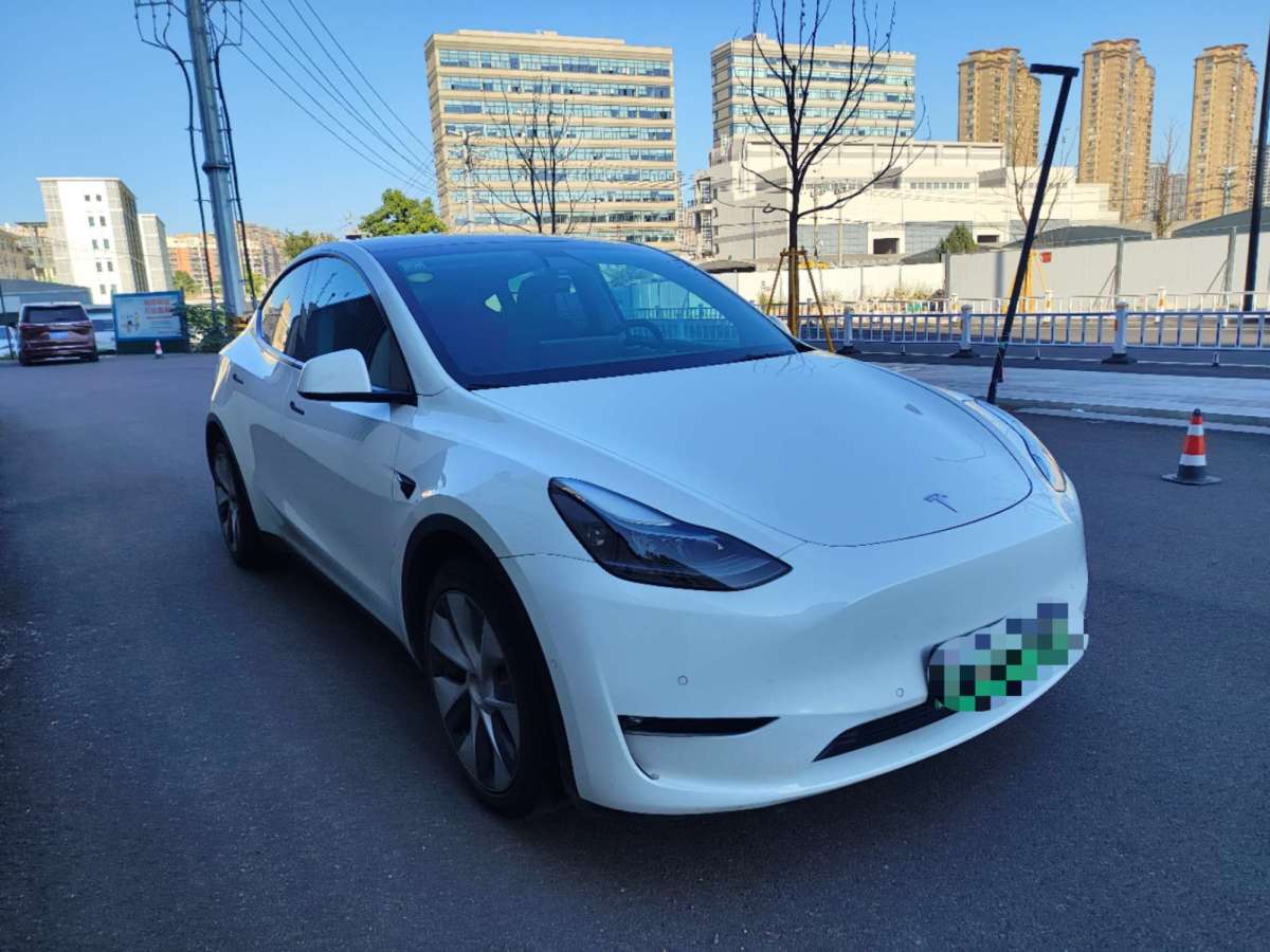 特斯拉 Model Y  2021款 長續(xù)航全輪驅(qū)動(dòng)版圖片