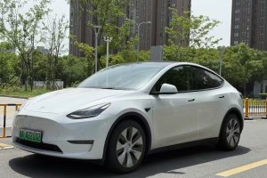 Model Y 特斯拉 標(biāo)準(zhǔn)續(xù)航后驅(qū)版