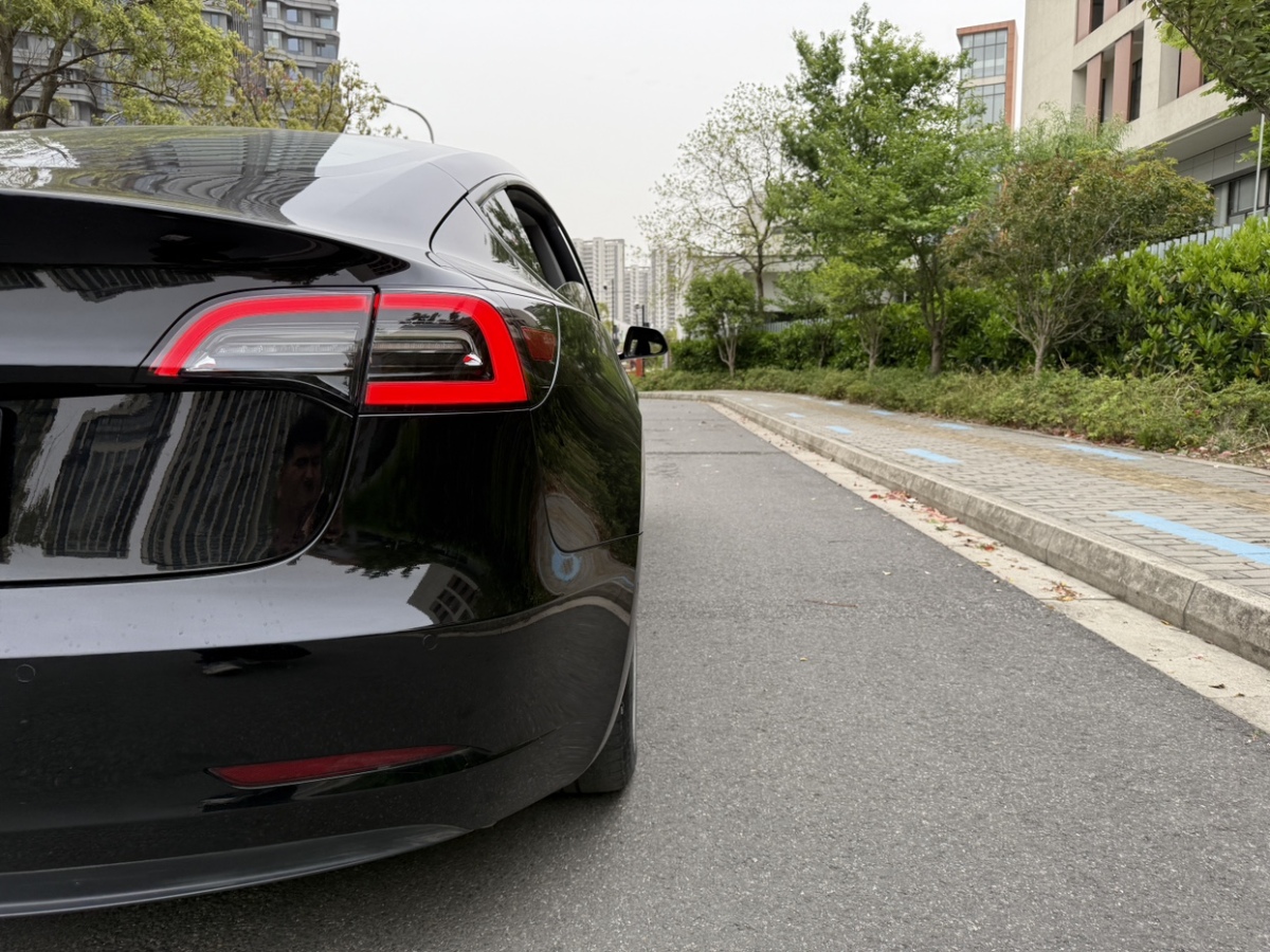 特斯拉 Model 3  2021款 標(biāo)準(zhǔn)續(xù)航后驅(qū)升級版 3D6圖片