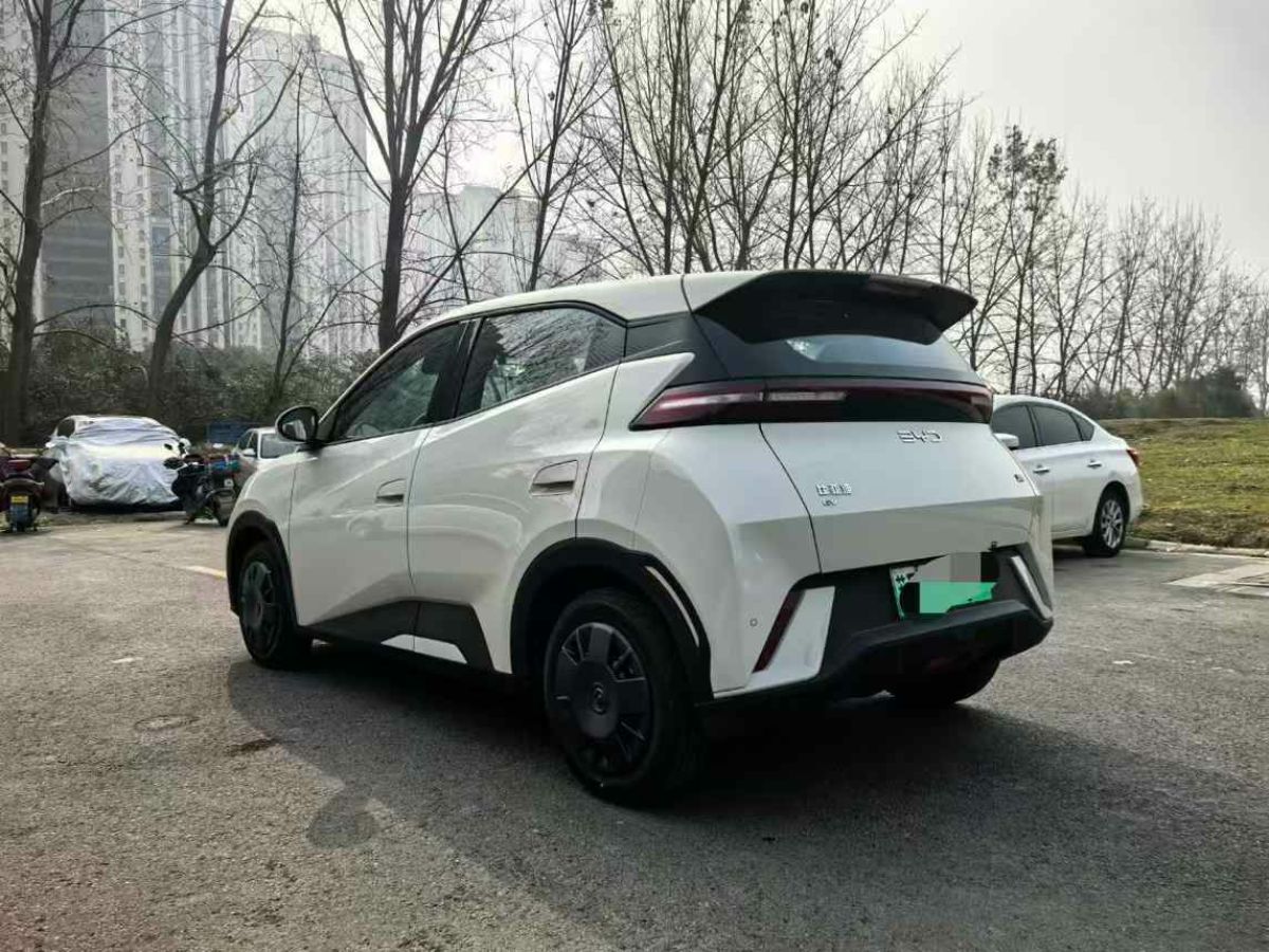 比亞迪 宋L DM-i  2024款 112km 超越型圖片