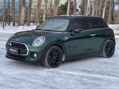 2019年1月 MINI COUNTRYMAN 1.5T COOPER 藝術(shù)家圖片