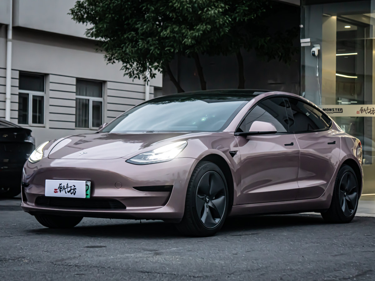 特斯拉 Model 3  2019款 標準續(xù)航后驅(qū)升級版圖片