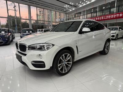 2019年3月 宝马 宝马X6(进口) xDrive28i图片