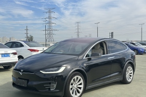 Model X 特斯拉 Model X 100D 长续航版