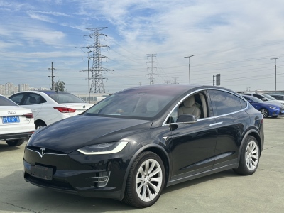 2018年12月 特斯拉 Model X Model X 100D 長(zhǎng)續(xù)航版圖片