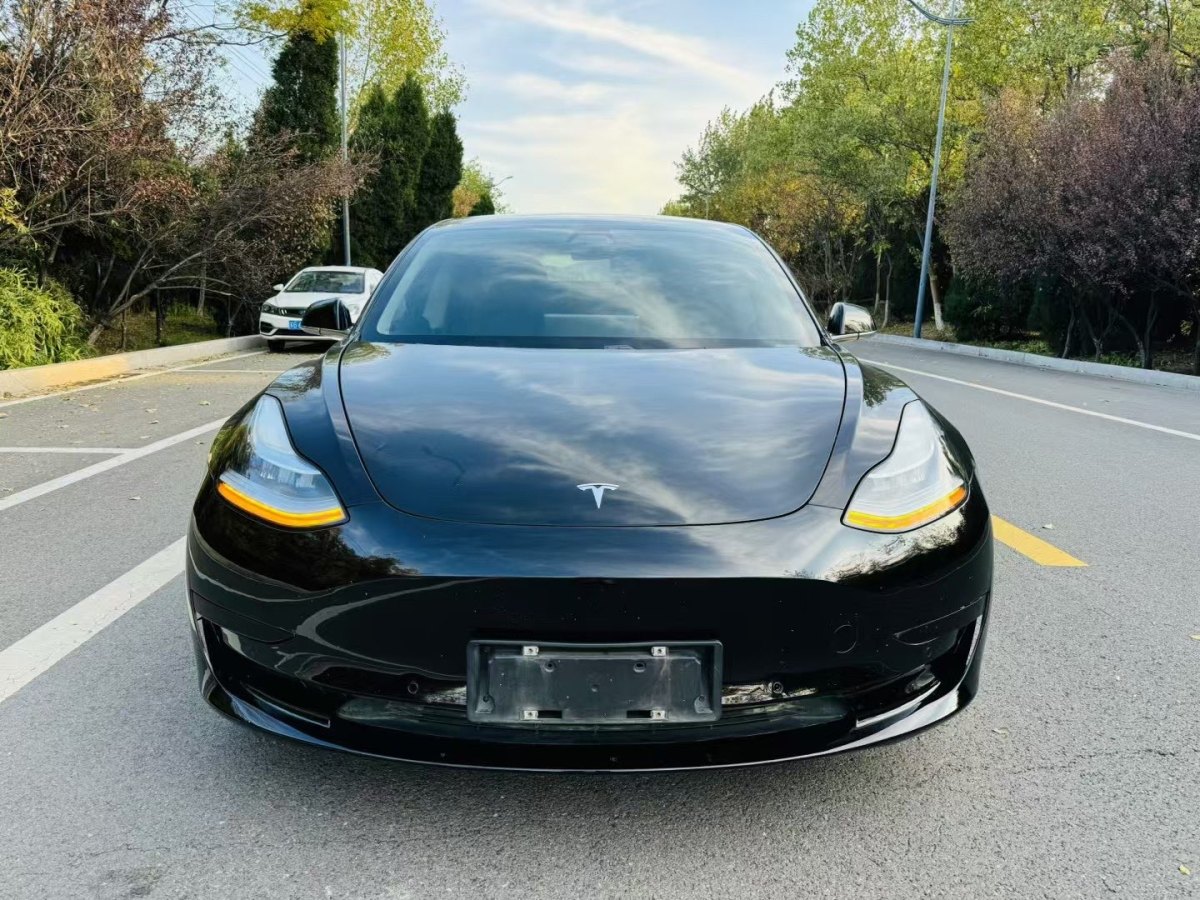 特斯拉 Model 3  2019款 標(biāo)準(zhǔn)續(xù)航后驅(qū)升級(jí)版圖片