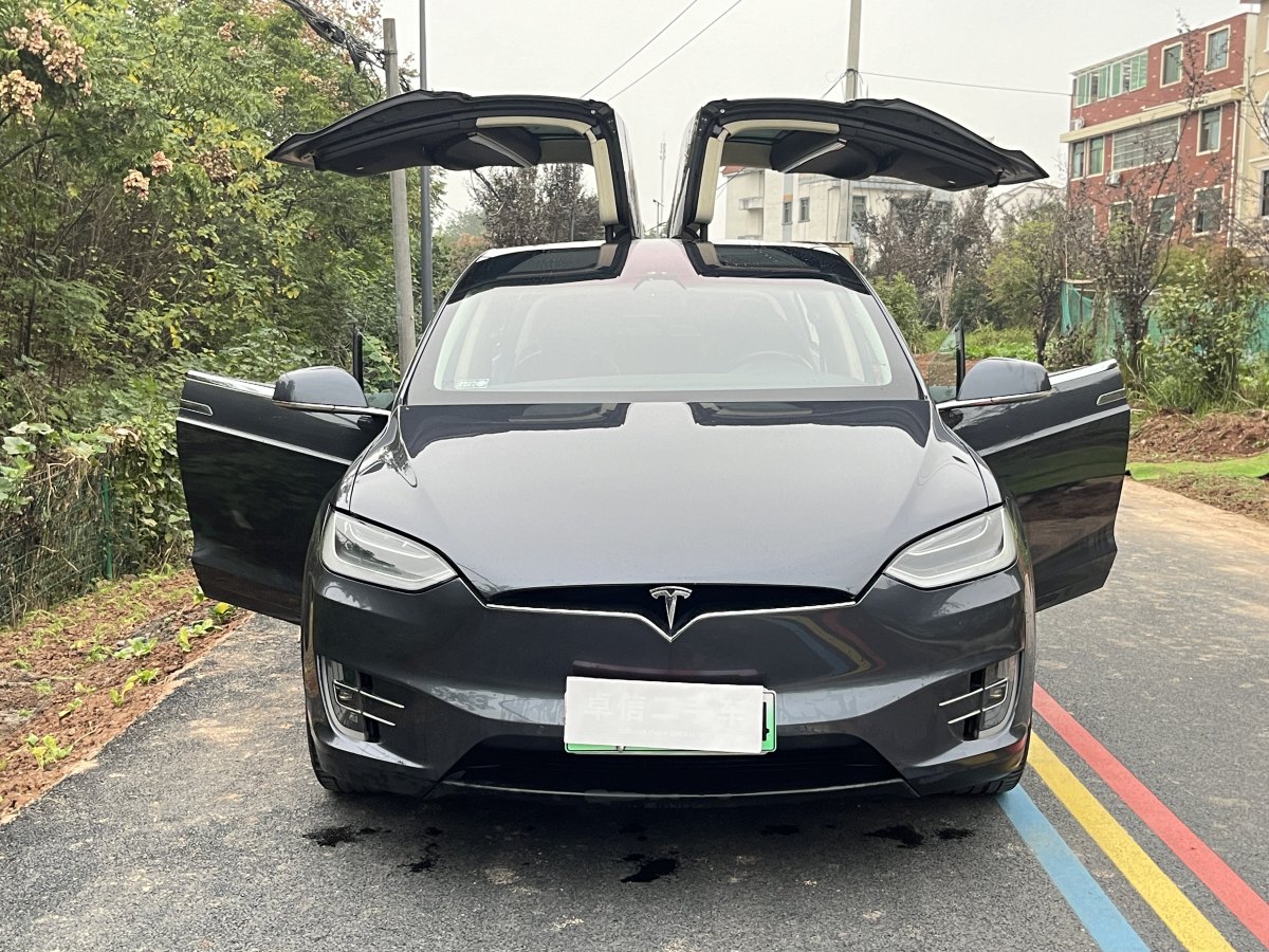 特斯拉 Model X  2016款 Model X 75D圖片