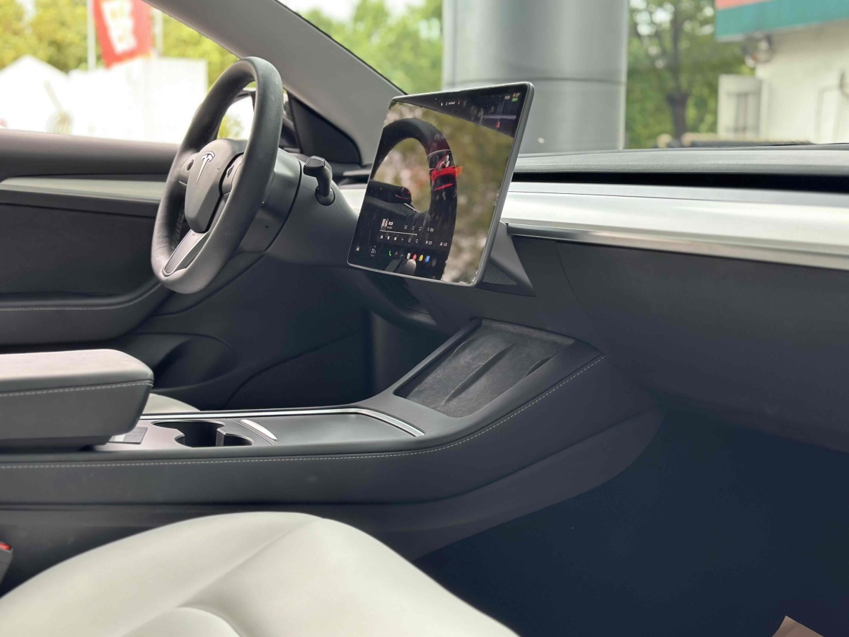 特斯拉 Model 3  2019款 Performance高性能全輪驅(qū)動(dòng)版圖片