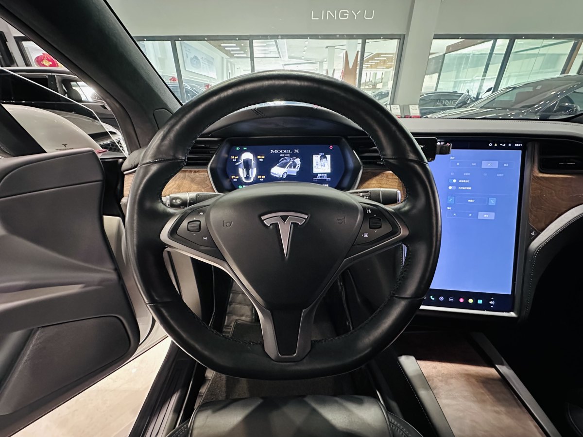 特斯拉 Model X  2019款 長續(xù)航版圖片