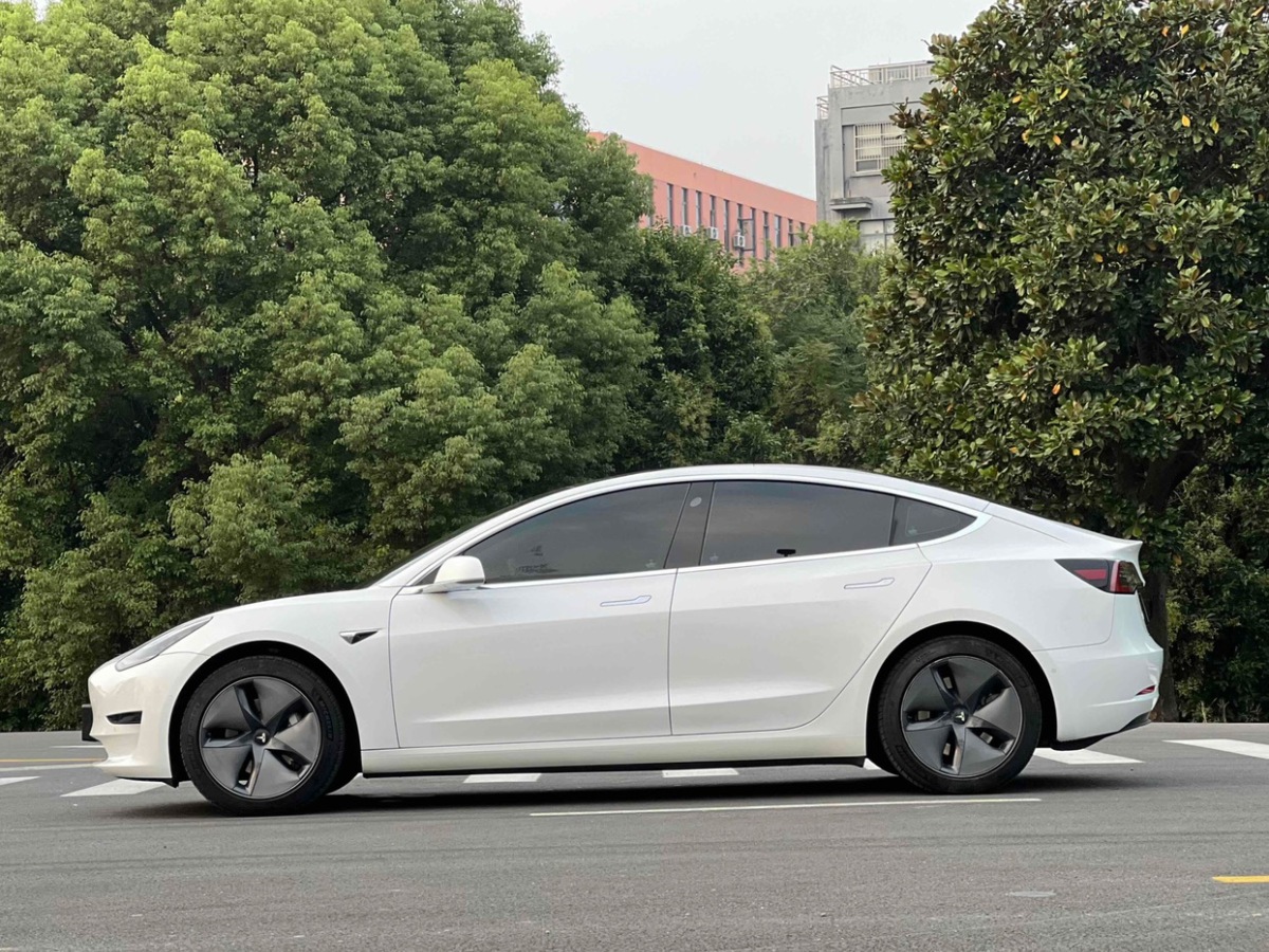 特斯拉 Model 3  2019款 標(biāo)準(zhǔn)續(xù)航后驅(qū)升級版圖片