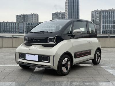 2023年1月 寶駿 寶駿KiWi EV 藝術(shù)家輕享版 三元鋰圖片