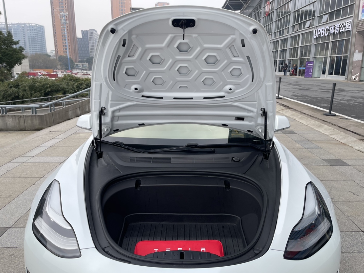 特斯拉 Model 3  2020款 標準續(xù)航后驅升級版圖片