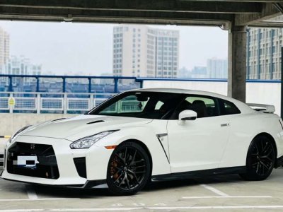 2018年5月 日產(chǎn) GT-R(進(jìn)口) 3.8T 旗艦版圖片