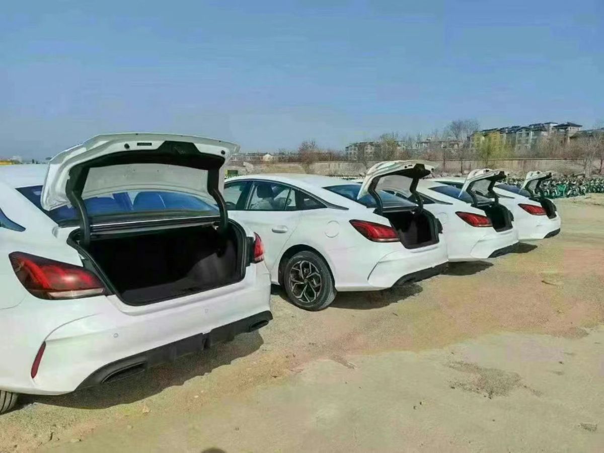 長安跨越 新豹T3 EV  2025款 PLUS 單排標(biāo)準(zhǔn)型 倉柵車圖片