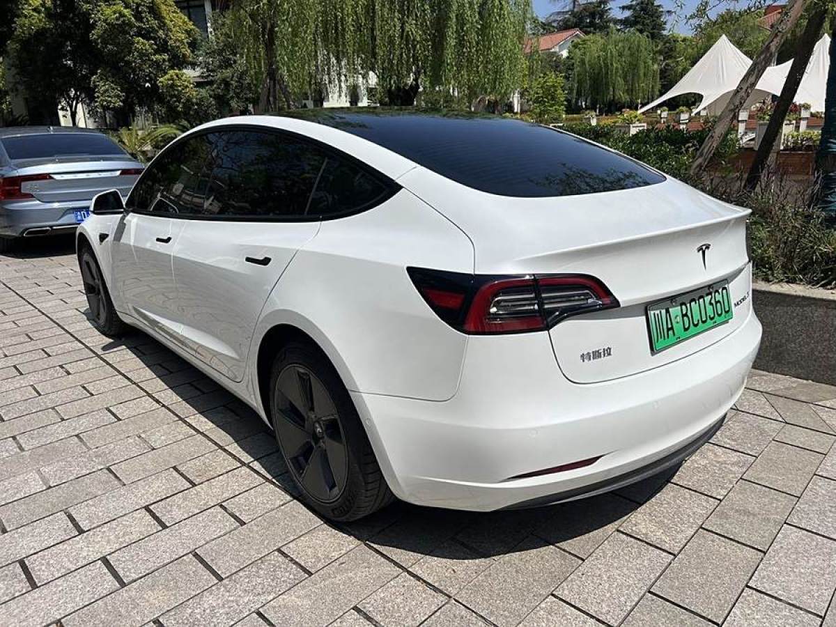 特斯拉 Model 3  2021款 改款 標準續(xù)航后驅(qū)升級版圖片