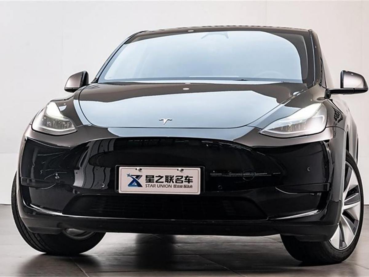 特斯拉 Model 3  2020款 改款 長續(xù)航后輪驅(qū)動版圖片