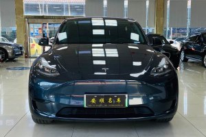 Model Y 特斯拉 后輪驅(qū)動(dòng)版