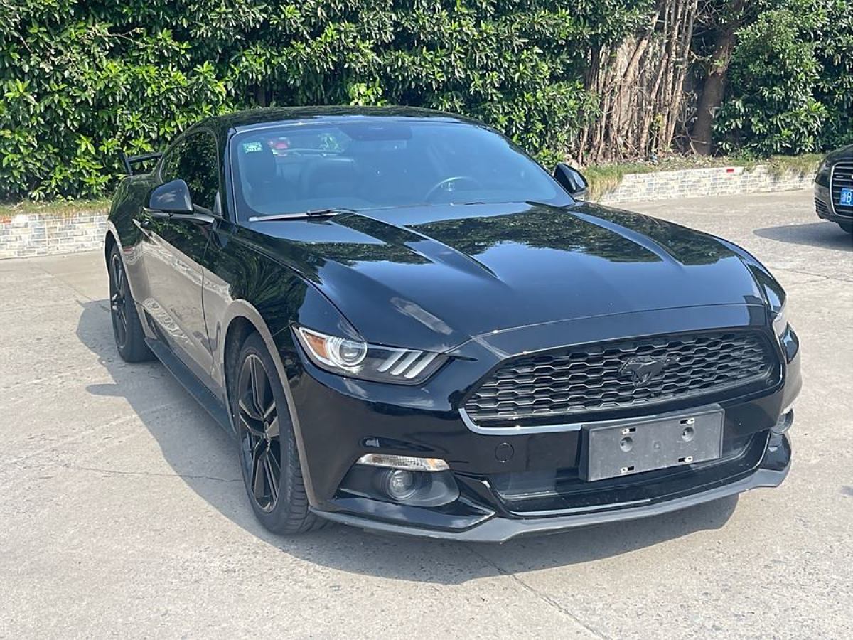 福特 Mustang  2015款 2.3T 性能版圖片