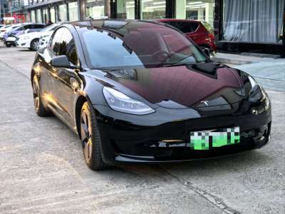 2023年3月 特斯拉 Model 3 后輪驅(qū)動版圖片