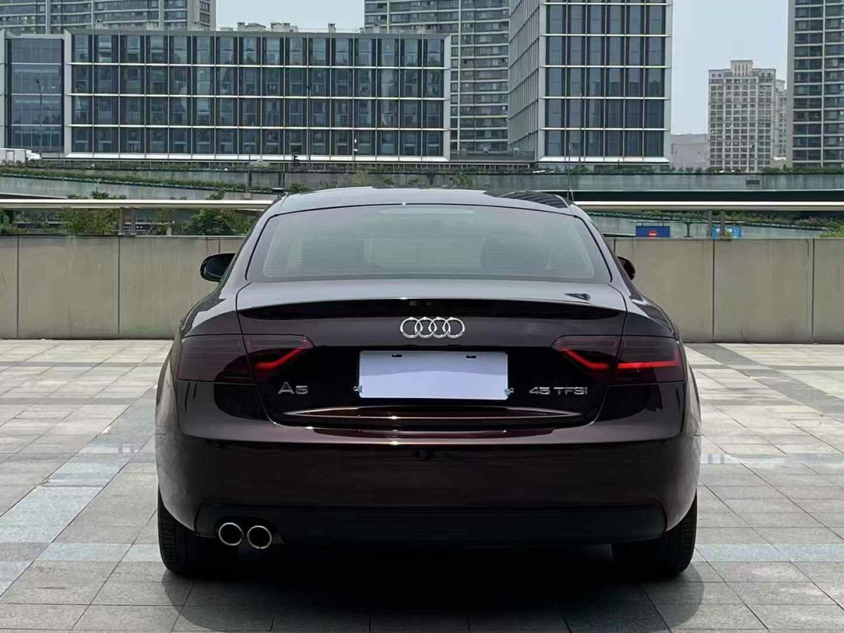 奧迪 奧迪Q5  2015款 40 TFSI 動(dòng)感型圖片
