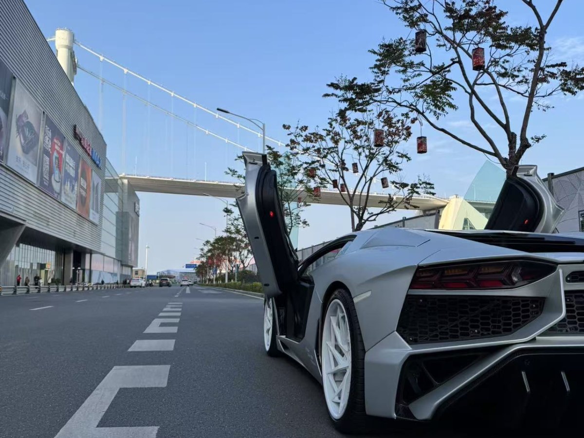 蘭博基尼 Aventador  2013款 LP 700-4 Roadster圖片