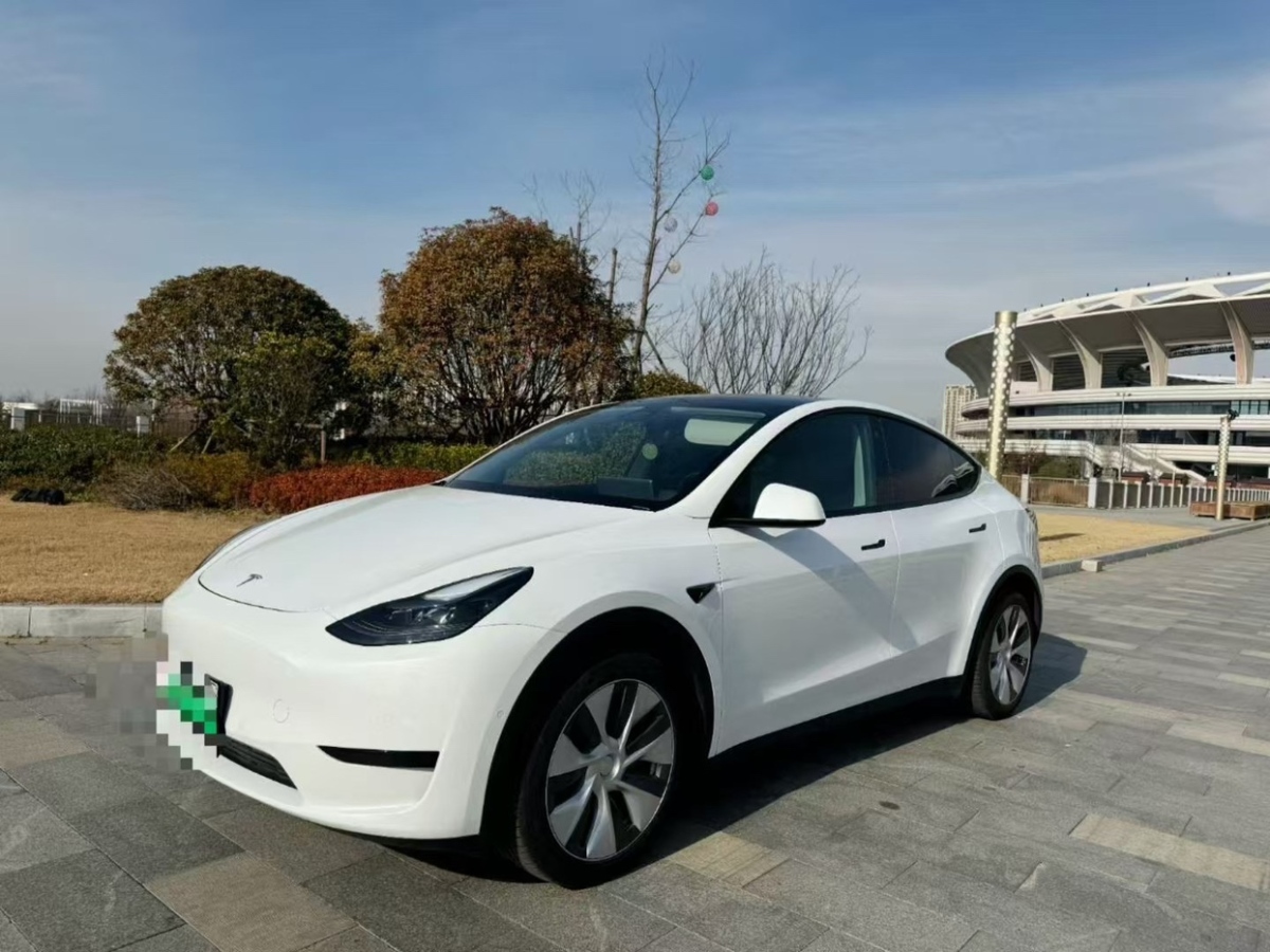 特斯拉 Model Y  2023款 后輪驅(qū)動版圖片