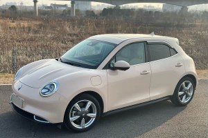 歐拉好貓 歐拉 400km標準續(xù)航 雅典娜版 三元鋰
