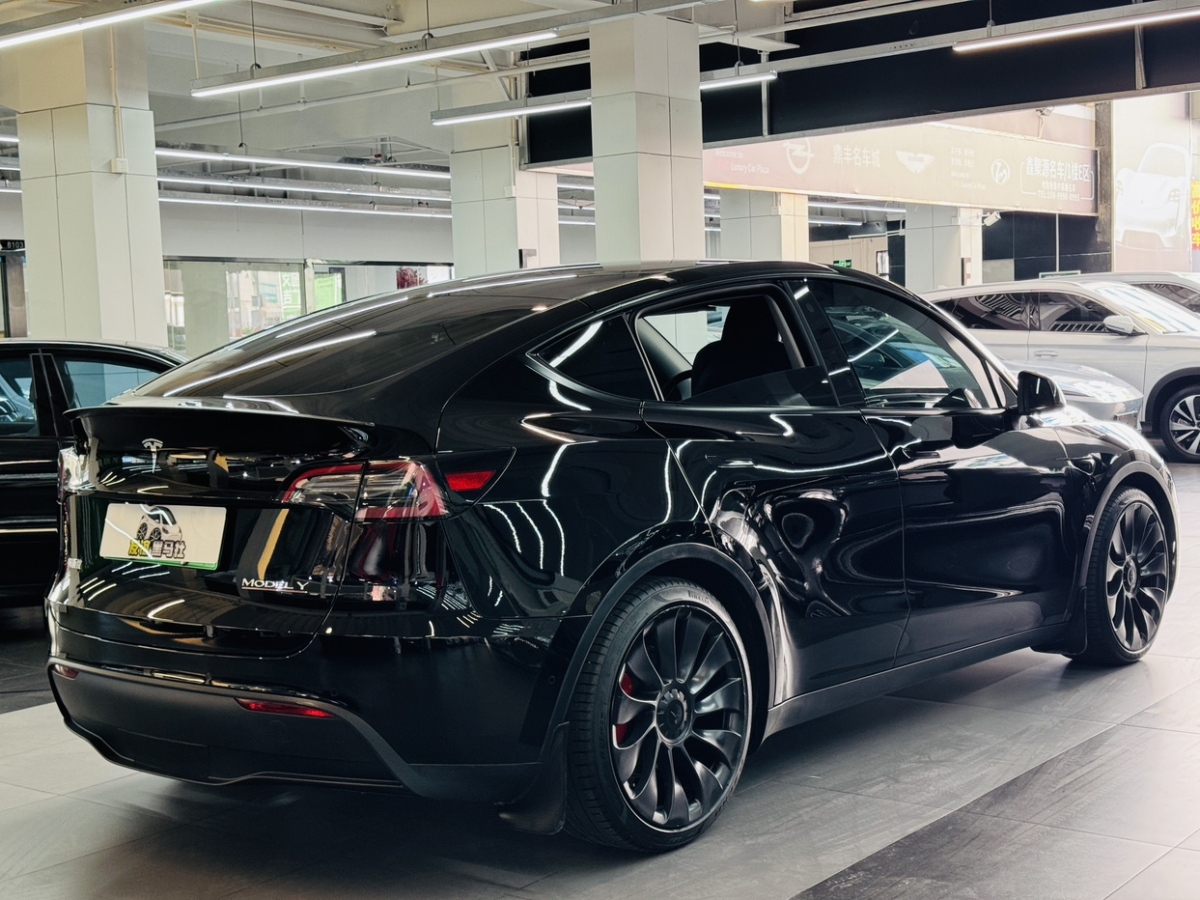 特斯拉 Model Y  2022款 Performance高性能全輪驅(qū)動(dòng)版圖片