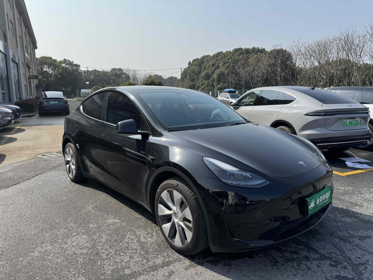 特斯拉 Model 3  2020款 改款 長續(xù)航后輪驅(qū)動(dòng)版圖片