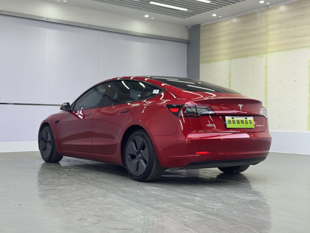 特斯拉 Model 3  2019款 標(biāo)準(zhǔn)續(xù)航后驅(qū)升級版圖片