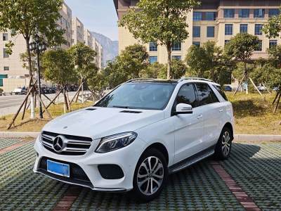 2018年2月 奔馳 奔馳GLE(進(jìn)口) GLE 320 4MATIC 動(dòng)感型圖片