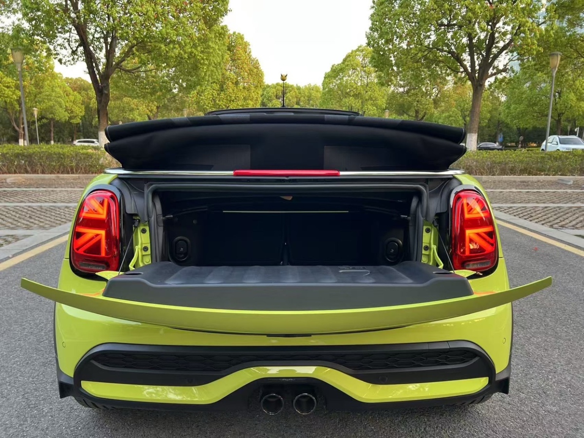 MINI MINI  2023款 改款二 2.0T COOPER S CABRIO 藝術(shù)家圖片