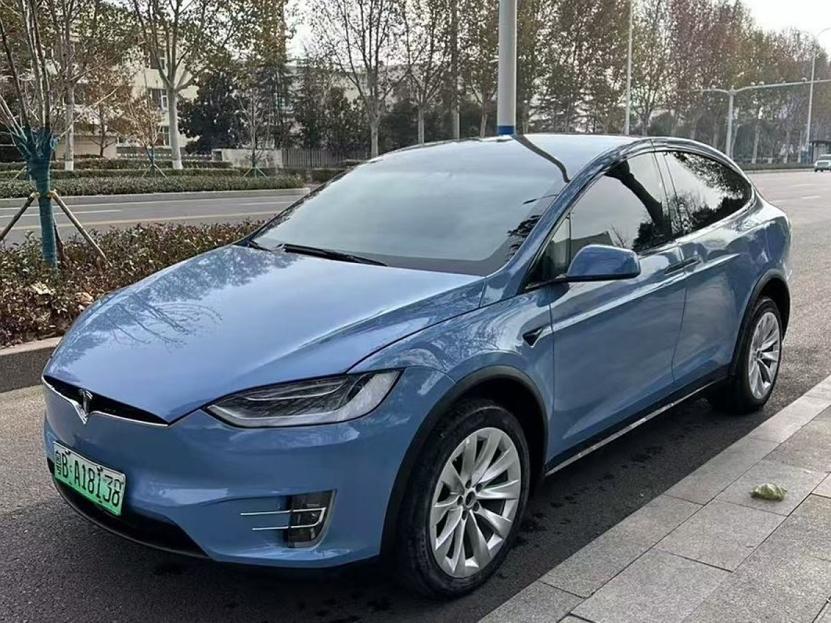 特斯拉 Model X  2017款 Model X 100D 長續(xù)航版圖片