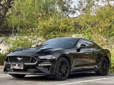 2019年6月 福特 Mustang(进口) 2.3L EcoBoost图片